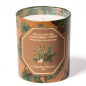 Preview: Carrière-Frères, scented candle, Siberian Pime&candied ginger